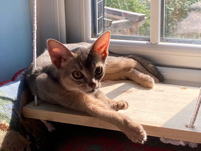 Rosie