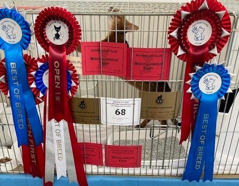 Rosie's father https://stambok.sverak.se/Stambok/Visa/506694